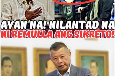 NAKO YARE! MALAKING SIKRETO NILABAS NA NI REMULLA!