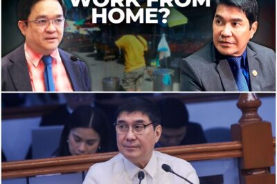 Expert explains pros and cons of work-from-home setup amid oil crisis