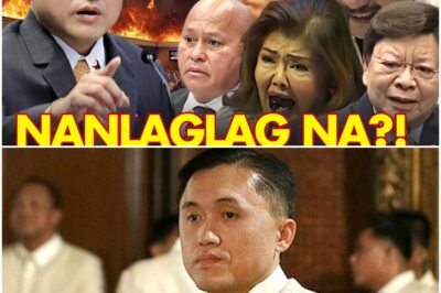 BUMALIKTAD NA Si BONG GO?! ALYANSANG Duterte ILALAGLAG Na?!