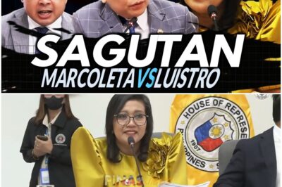 Sagutan ni Marcoleta vs Luistro sa sufficiency in grounds on VP Sara impeachment