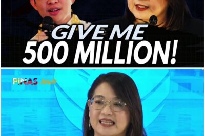 Claire Castro sinisingil si Leviste ng 500 Million para sa sleepless nights at anxiety damages!
