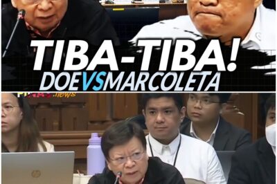 Ginisa ni Marcoleta si DOE Director sa GARAPALAN na pagsingil sa taong bayan na tumiba mga traders!