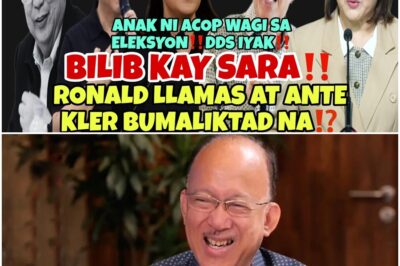 DDS NA RONALD LLAMAS AT ANTE KLER HUMANGA KAY VP SARA ACOP PA RIN AYAW SA DDS NG TAGA ANTIPOLO