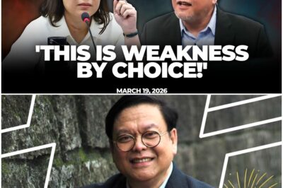 Dean Mel Sta. Maria explains Sara Duterte’s possible impeachment game plan