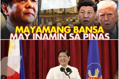 HALA PBBM ANO TO? INAMIN NG MAYAMANG BANSA NA ITO NA….