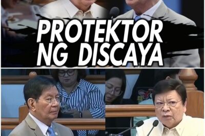 Lacson Diretsahang Binanatan si Marcoleta ng Pagprotekta sa Pamilyang Discaya