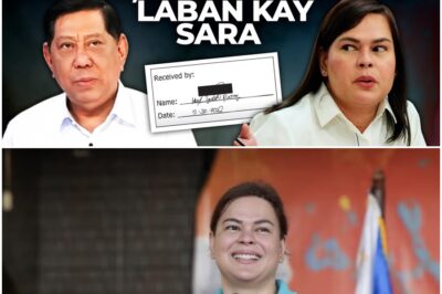 Erice defends Sara Duterte on confidential funds