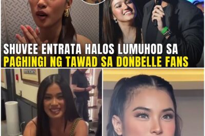 Shuvee Entrata HALOS LUMUHOD sa PAGHINGI ng TAWAD sa NAGING REAKSYON NYA kay Donny Pangilinan