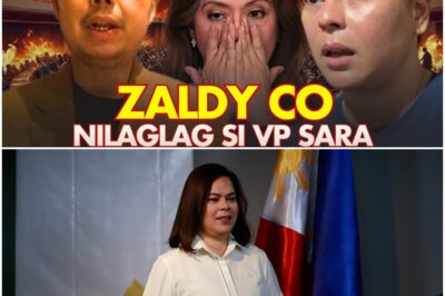 Hala! Zaldy Co, SINUNGGABAN si VP Sara at INEXPOSE Ang Mga KASALANAN, DDS Paano Na?