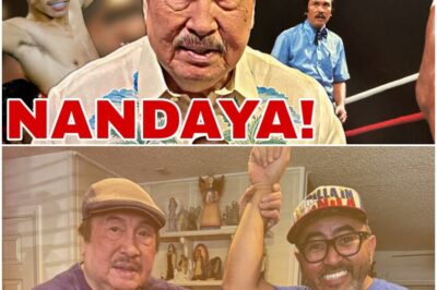 NANDAYA PALA! SIKAT NA PINOY REFEREE NOON, HETO NA PALA ANG BUHAY NGAYON!