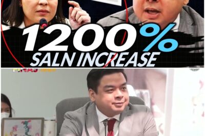 Terry Ridon kinuwesyon ang 1200% increase ng SALN ni VP Sara Duterte