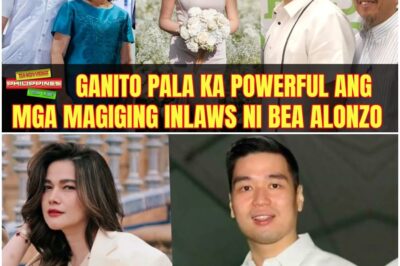 Ganito Pala Ka-Powerful sa Buong Mundo ang magiging In Laws ni Bea Alonzo na sina Susan at Lucio Co