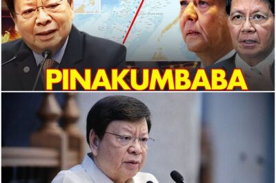 HINAHANAP NA MAPA Ni MARCOLETA Lumabas Na! PINAKUMBABA Ng NAMRIA, Stand Corrected!?