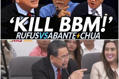 Maiinit na SAGUTAN sa planong pagpa tay ni Sara Duterte kay BBM at Lisa Araneta