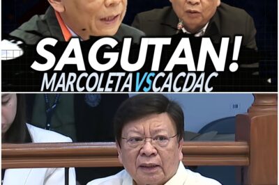 Sagutan ni Marcoleta at Hans Cacdac sa repatriation ng mga Pilipino na apektado ng giyera