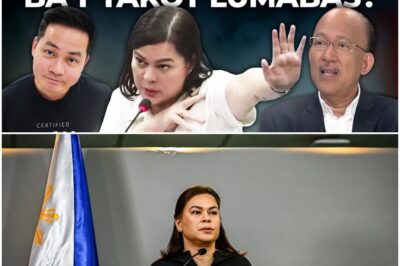 Mabusisi kaya ang bank accounts ni Sara Duterte sa impeachment proceedings?