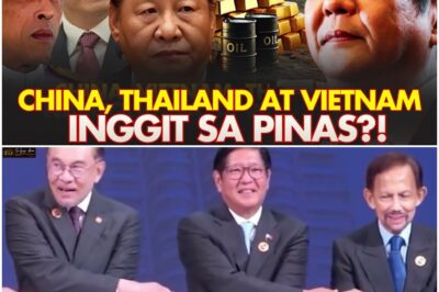 UNFAIR ADVANTAGE? GRABE PBBM Bakit Anong Ginawa Para Tila Kainggitan Ang Pinas Ng Mayayamang Bansa?