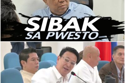 Manifestation ni Erice Bago Ipatawag ni Sandro at Masibak Bilang Senior Deputy Minority Leader