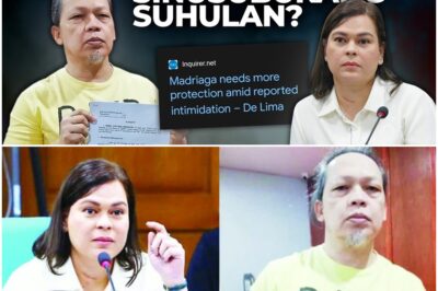 Lawyer claims Madriaga offered huge amounts to back down