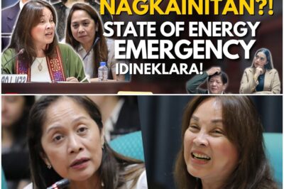 LOREN LEGARDA VS GARIN! Nagkainitan sa Senado dahil sa Krisis sa Gasolina?!