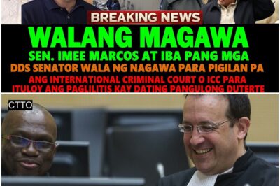 GANITO PALA KA TINDI NG ICC! SEN. IMEE MARCOS, BATO, BONG GO ATMGA DDS SENATORS WALA NG NAGAWA!