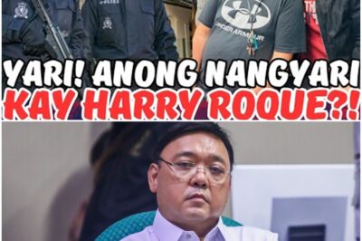 HARRY ROQUE NAGLABAS NG VIDEO! ANONG NANGYARI SA KANYA?