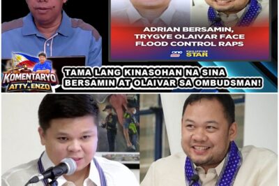 TAMA LANG KINASOHAN NA SINA BERSAMIN AT OLAIVAR SA OMBUDSMAN!