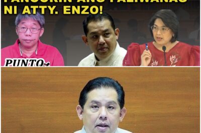 BAKIT SINABIHAN NI CASTRO SI ROMUALDEZ NA ‘MANAHIMIK’ ITO? PANOORIN ANG PALIWANAG NI ATTY. ENZO!