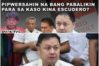 LALABAS NA NEXT WEEK ANG INTERPOL RED NOTICE NI ZALDY CO, AYON KAY REMULLA!