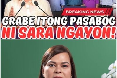 SARA NAGPAULAN NG MGA BANAT! GRABE ANG MGA SINABI!