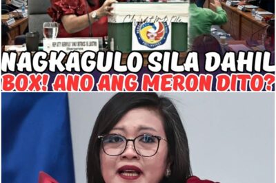 NAGKAKAGULO ANG MGA CONGRESSMAN! ANONG NANGYAYARI SA HEARING?!