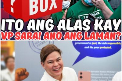 YARE! VP SARA MATATANGGAL NA DAHIL SA BOX NA TO?! NANINILIKADO!