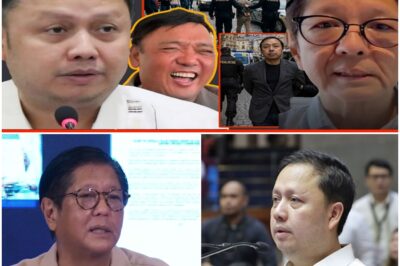 BREAKING! ACTU4L VIDEO PAG-AREST0 KAY ZALDY CO NAGSALITA NA! HARRY ROQUE NABUTATA!
