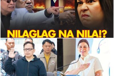 FINISH! Na? VP Sara Bakit Nilaglag Ng Mga Kaalyado At Dating Kasangga At Kaibigan?!