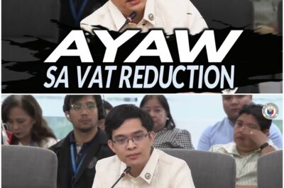 Leviste BINANATAN ang mga Humahadlang sa Pagbaba ng VAT