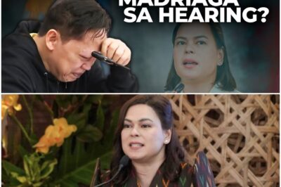 Alleged ex-Sara Duterte aide breaks down in tears in impeachment hearing