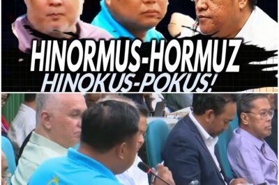 “Hinormus-hormus tayo. Hinokus-pocus tayo!” Drivers binanatan ang DOE at ang korapsyon sa ayuda