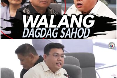 Eli San Fernando Uminit ang Ulo sa mga Kalihim na Biglang Umalis sa Hearing