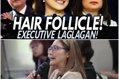 ‘Hair Follicle”, “Executive Laglagan”, “6.7B” at mga BIRADA ni Claire Castro kay Sara Duterte