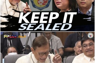 Benny Abante Tutol sa Pagbukas ng Tax Records ni Sara Duterte