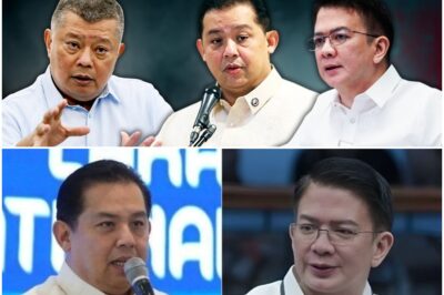Ombudsman eyes cases vs Martin Romualdez & Chiz Escudero
