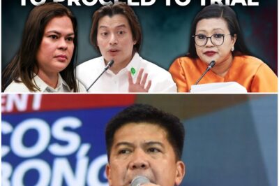 NBI director Matibag hits back at Mike Defensor