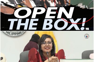 Ibinasura ang pagbubukas ng BIR BOX records ni VP Sara at Mans Carpio sa House impeachment hearing 