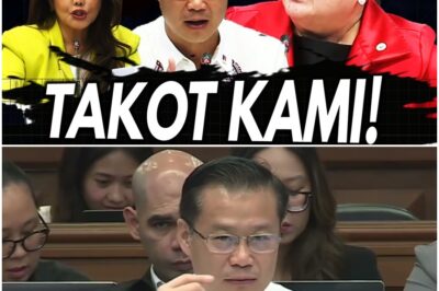 Kapag walang basbas ng USA, hindi bibili sa alok na langis ng Russia. DFA, DOE kinuwesyon sa Senado