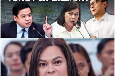 Did Sara Duterte’s husband make an inadvertent admission by filing a case?