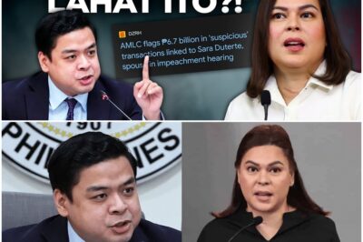Rep. Terry Ridon: Sara Duterte has a lot of explaining to do