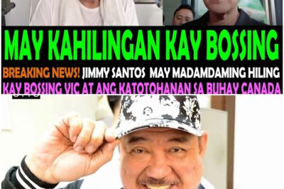 JIMMY SANTOS: Ang Madamdaming Hiling kay VIC SOTTO at ang Katotohanan sa Kanyang Buhay sa CANADA