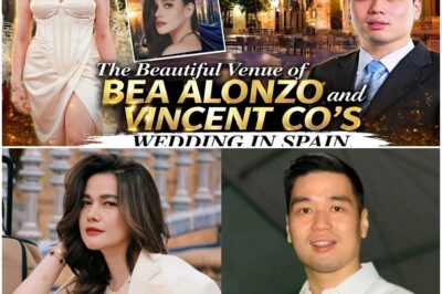 Ang DETALYE sa KASAL ni BEA Alonzo at Vincent Co sa Spain! Sobrang Yaman pala talaga ni Vincent Co!