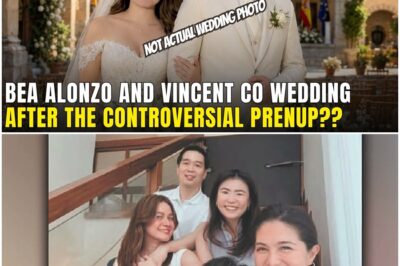 TULOY ang KASAL? Bea Alonzo WEDDING in SPAIN with Vincent Co After CONTROVERSIAL PRENUP Issue??