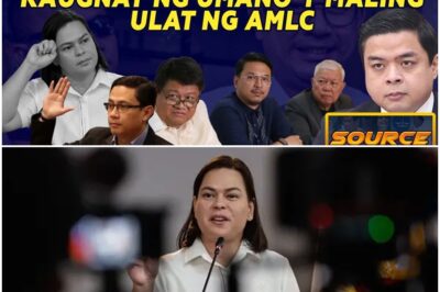 RIDON, BINIRA ANG KAMPO NG ASAWA NI SARA SA PAG-APELA KAUGNAY NG UMANO’Y MALING ULAT NG AMLC
